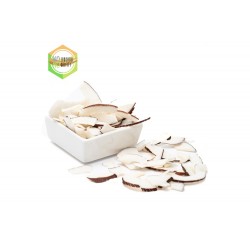 cocco