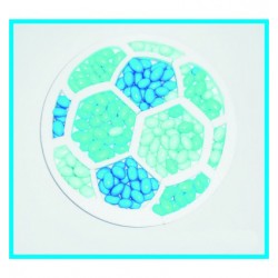 Porta confetti "Calcio "