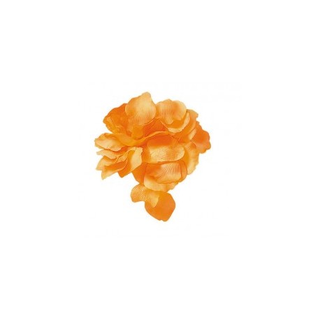 Petali Arancio