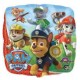 Piatto 18 cm Paw Patrol